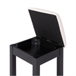 Bowery Hill 2-Piece Modern Wooden Vanity Set with Stool in Black