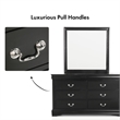 Bowery Hill 6-Drawer Transitional Wood Dresser with Mirror in Black