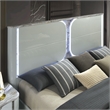 Bowery Hill Queen Platform Bed with LED Panel in Light Gray Rubberwood