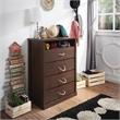 Bowery Hill 4-Drawer Wood Chest in Vintage Walnut Finish