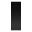 Bowery Hill 5-Drawer Chest in Black Solid and Engineered Wood