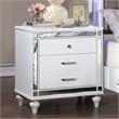 Bowery Hill 2-Drawer Solid Wood Nightstand in White with Mirror Trim