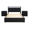 Bowery Hill Upholstered Queen Black Bedroom Set with Storage and LED Lights