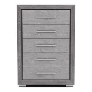 Bowery Hill Transitional Wood 5-Drawer Chest in Gray