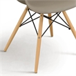 Bowery Hill Mid-Century Modern Plastic Dining Side Chairs Set of 2