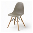 Bowery Hill Mid-Century Modern Plastic Dining Side Chairs Set of 2