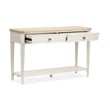 Bowery Hill Rectangular Sofa Table in Sea Pearl and Driftwood Finish