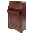 Pemberly Row Transitional Solid Wood Secretary Desk in Antique Walnut