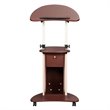 Pemberly Row Sit-to-Stand Rolling Laptop Cart With Storage in Chocolate