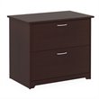 Pemberly Row Engineered Wood 2-Drawers Lateral File Cabinet in Harvest Cherry