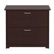 Pemberly Row Engineered Wood 2-Drawers Lateral File Cabinet in Harvest Cherry