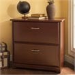 Pemberly Row Engineered Wood 2-Drawers Lateral File Cabinet in Harvest Cherry