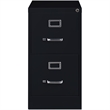 Pemberly Row Modern 2-Drawers Vertical Black Metal Filing Cabinet Pre-assembled