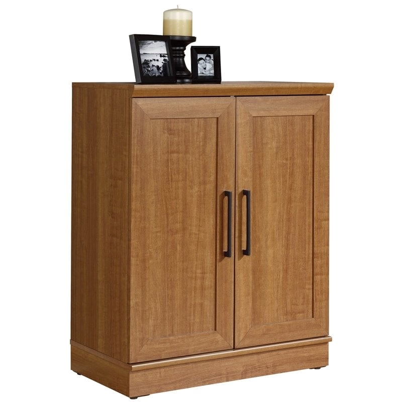 Pemberly Row Adjustable Shelf Traditional Engineered Wood Cabinet in Sienna Oak