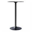 Pemberly Row Round Transitional Wood/Metal Pub Table in Black