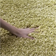 Pemberly Row Green Shag Rug - 8' x 10'
