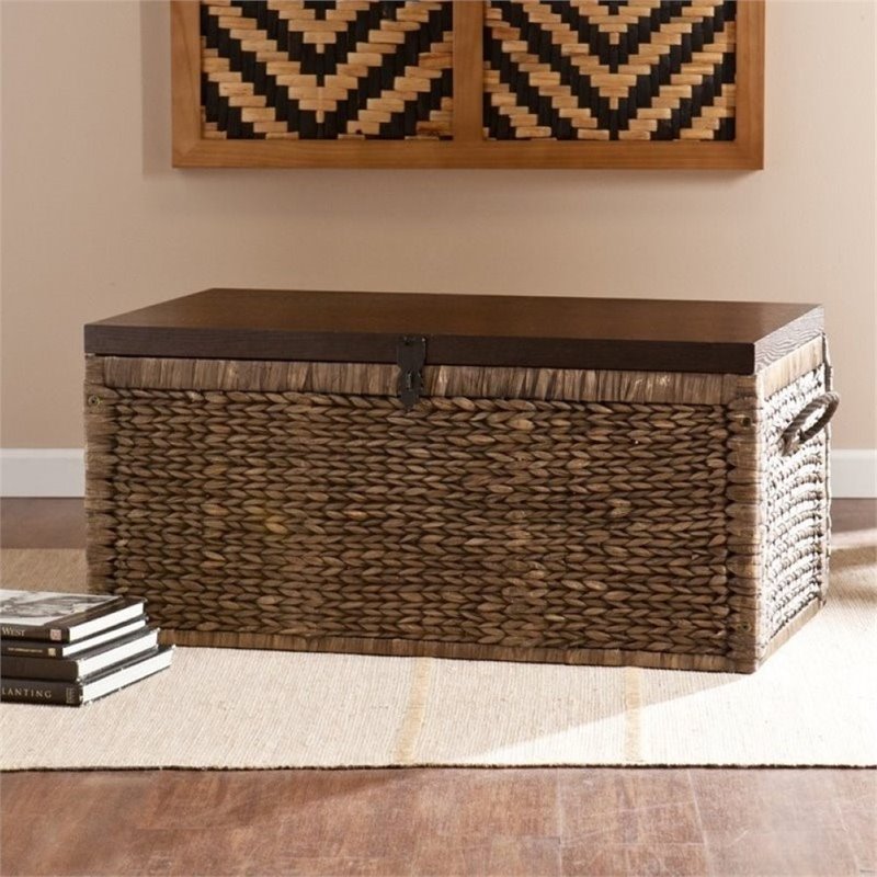 Pemberly Row Trunk Coffee Table in Blackwash