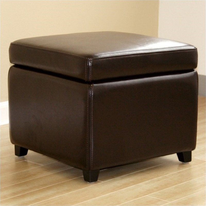 Pemberly Row Contemporary Square Leather Storage Ottoman in Dark Brown