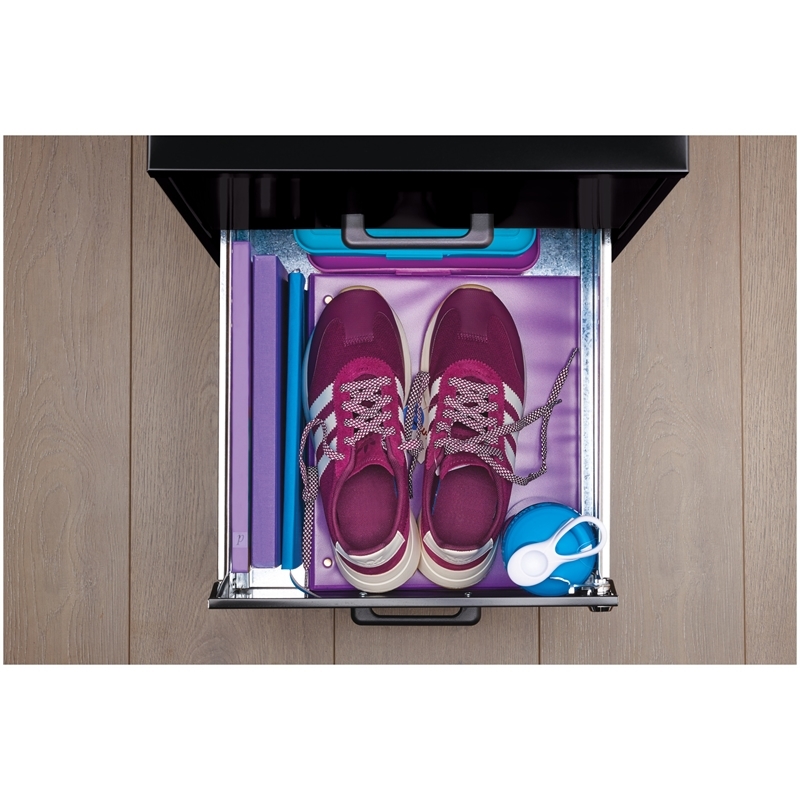 Pemberly Row Modern 2-Drawers Vertical Black Metal Filing Cabinet Pre-assembled