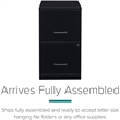 Pemberly Row Modern 2-Drawers Vertical Black Metal Filing Cabinet Pre-assembled