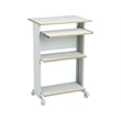 Pemberly Row Standing Computer Cart Workstation in Gray