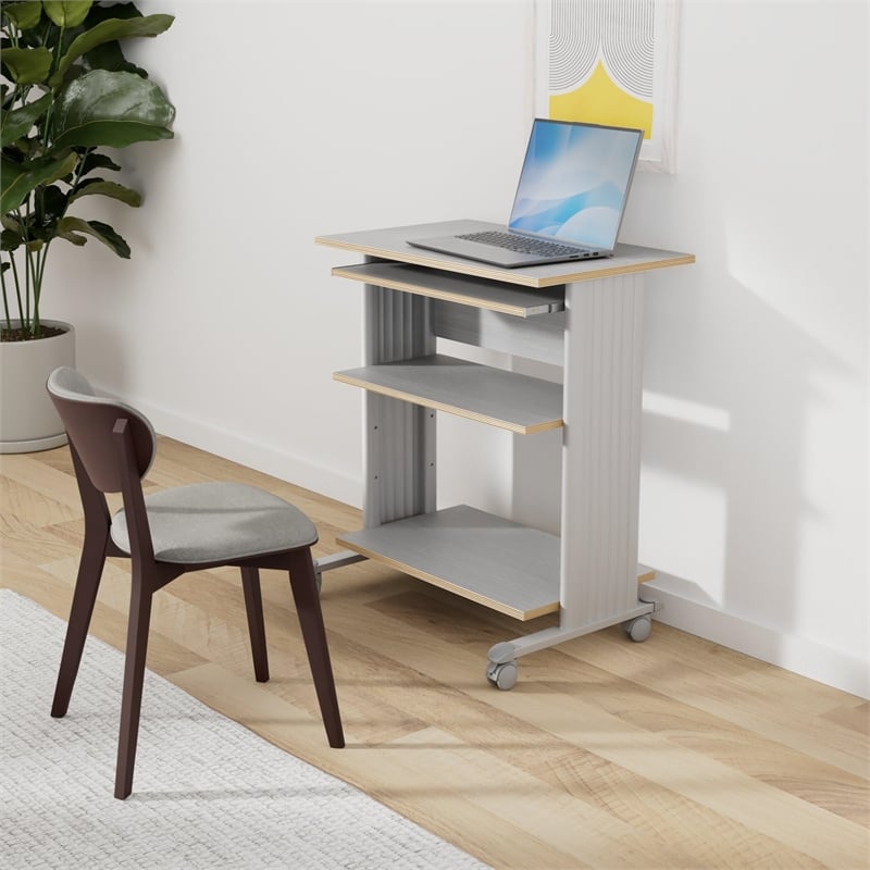 Pemberly Row Standing Computer Cart Workstation in Gray