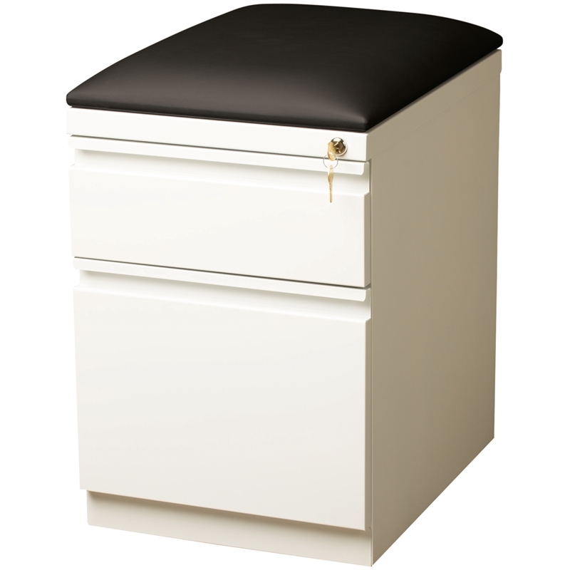 Pemberly Row 2-Drawer Metal Mobile Pedestal Filing Cabinet in White/Black