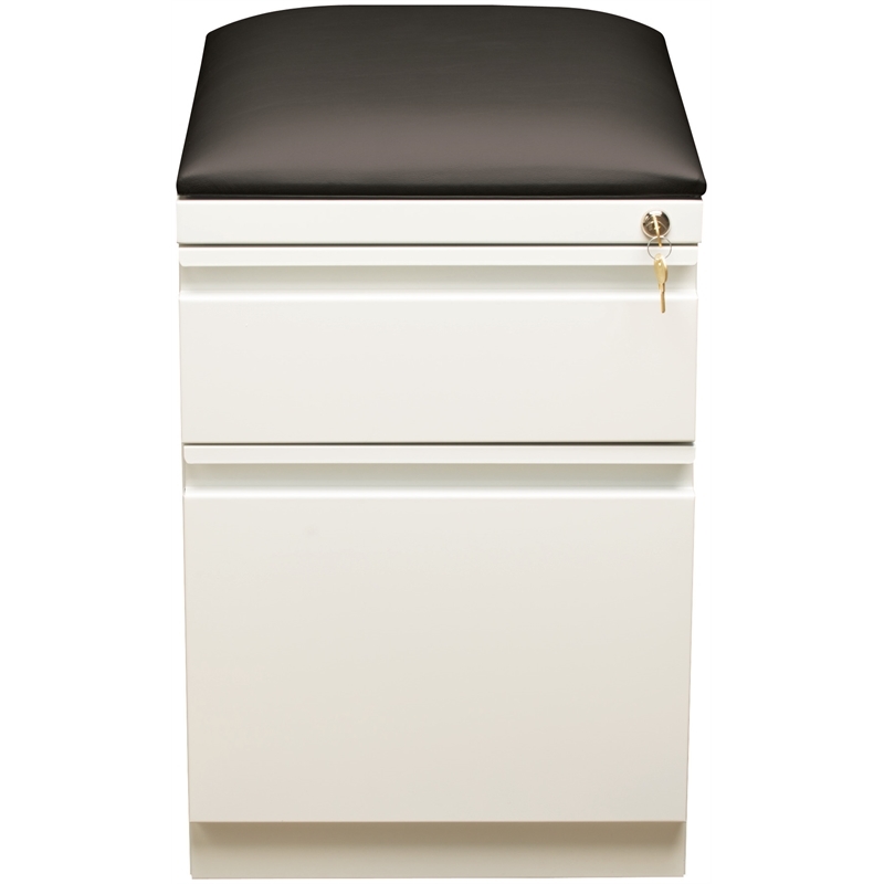 Pemberly Row 2-Drawer Metal Mobile Pedestal Filing Cabinet in White/Black