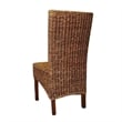 Pemberly Row Coastal Wicker / Rattan Dining Chair in Brown (Set of 2)