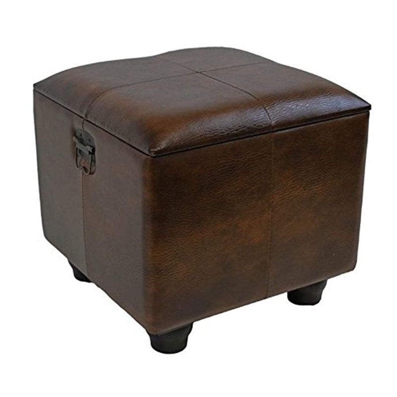 Pemberly Row Faux Leather Ottoman Trunk in Brown