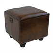 Pemberly Row Faux Leather Ottoman Trunk in Brown