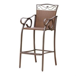 Pemberly Row Patio Bar Stool in Brown (Set of 2)