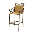 Pemberly Row Patio Bar Stool in Honey (Set of 2)
