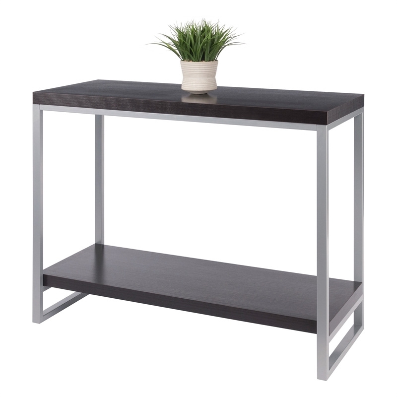 Pemberly Row Modern Wood Console Table Enamel Tube in Espresso