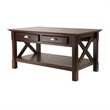 Pemberly Row Contemporary Solid Wood Coffee Table with 2 Drawers in Cappuccino