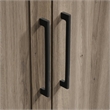 Pemberly Row Traditional Engineered Wood 3-Shelf Storage Cabinet in Salt Oak