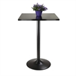 Pemberly Row Square Transitional Wood/Metal Pub Table in Black