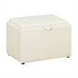 Pemberly Row Accent Storage Ottoman - Ivory