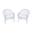 Pemberly Row Wicker Chair in White (Set of 2)