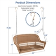 Pemberly Row Resin Wicker Porch Swing in Honey