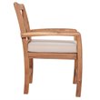 Pemberly Row X-Back Patio Chair with Cushion in Brown (Set of 2)