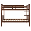 Pemberly Row Twin Over Twin Bunk Bed in Walnut