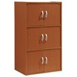 Pemberly Row 3 Shelf 6 Door Bookcase in Cherry