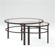Pemberly Row 2 Piece Nested Metal & Glass Coffee Table in Black and Bronze