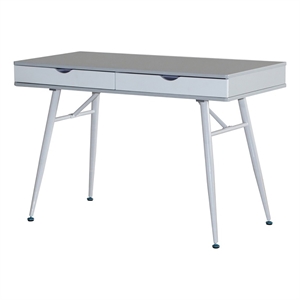 Pemberly Row 43&quot Modern 2-Drawer Steel/Wood Desk in Gray/White