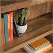 Pemberly Row 3-Shelf Modern Engineered Wood Bookcase in Brown