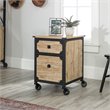 Pemberly Row 2-Drawer Mobile File Cabinet in Milled Mesquite Beige