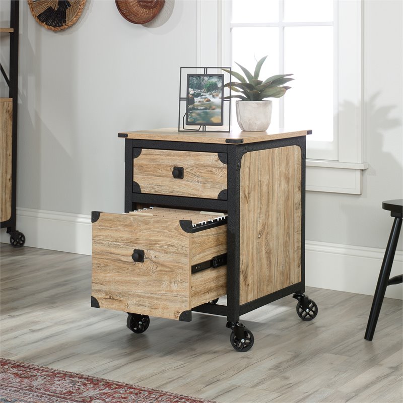 Pemberly Row 2-Drawer Mobile File Cabinet in Milled Mesquite Beige
