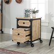 Pemberly Row 2-Drawer Mobile File Cabinet in Milled Mesquite Beige