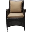 Pemberly Row  Patio Dining Arm Chair in Espresso and Mocha